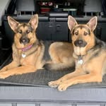Phyllis Osborn - @posborn07 - Instagram