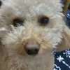 PhyllisOsborne - @phyllisosbornebsfiurfi - TikTok