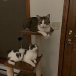 Phyllis Ott - @phyllisott99 - Instagram