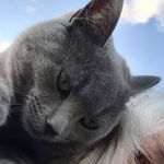 Phyllis Pendergrass - @phyllisp1978 - Instagram