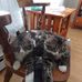 Phyllis Perez - Facebook