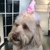 phyllispeterson2 - @phyllispeterson2 - TikTok