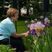 Phyllis Phipps - Facebook