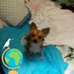 Phyllis Pinson - Facebook