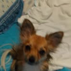 Phyllis Pinson - Facebook