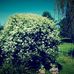 Phyllis Poff Stagg - Facebook