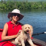 Phyllis Pollack - @phylbirdnerd - Instagram