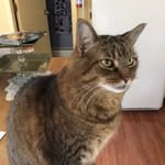 Phyllis Powers - @powersphyl - Instagram