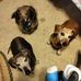 Phyllis Powers - Facebook