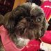 Phyllis Prather - Facebook