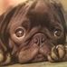 Phyllis Preston - Facebook