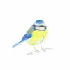 philipsprewitt116835 - @philipsprewitt116835 - TikTok