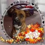 Phyllis Prince - Facebook