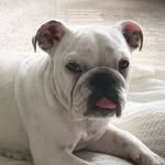 PhyllisMcGee - @phyllis.mcgee.prince - Instagram