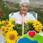 Phyllis Ann Pulley - Facebook