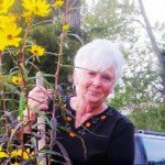 Phyllis Purvis Asbell - @thepond_mcintyre - Instagram