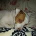 Phyllis Putnam - Facebook