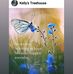 Phyllis Raber - Facebook