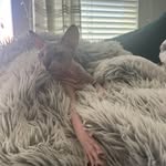 Phyllis Ramirez - @phyllisra - Instagram