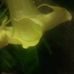 Phyllis Randle - Facebook
