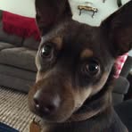 Phyllis Ransom - Facebook