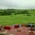 phyllisredman - @phyllisredman - TikTok