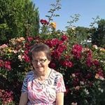 Phyllis Reeder - @phyllisreeder - Instagram