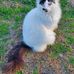 Phyllis Register - Facebook
