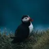 reinhardphyllis - @reinhardphyllis - TikTok