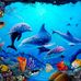 Phillis Richter - Facebook