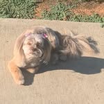 Phyllis Ricks - @paricks12 - Instagram