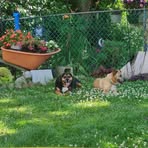 Phyllis Riegelmayer Wein - Facebook