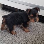 Phyllis Riggs - @phyrig1 - Instagram