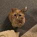 Phyllis Riggs - Facebook