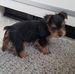 Phyllis Riggs - Facebook