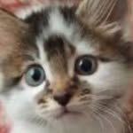 SoggyS0cks23 - @phyllisrivas38 - Instagram