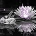 Phyllis Robbins - Facebook