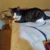 Phyllis Roy - Facebook