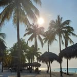 Phyllis Saulnier - @phyllissaulnier - Instagram