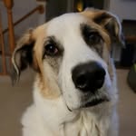 Phyllis Schulz Kolowski - @grambie252 - Instagram