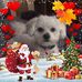 Phyllis Seitz - Facebook