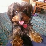 Phyllis Shapiro - @msdustyg - Instagram