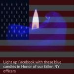 Phyllis Shapiro Helschein - @phyllishelschein - Instagram