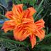 Phyllis Sharpe - Facebook