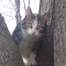 Phyllis Shaver - Facebook