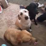 Phyllis Shaver - @shaver.phyllis57 - Instagram