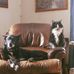 Phyllis N John Shear - Facebook