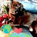 Phyllis Sheets Dixon - Facebook