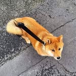 Phyllis Sheffield - @phyllis.sheffield1 - Instagram