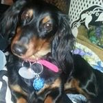Phyllis Shipman Watters - @shipmanwatters - Instagram